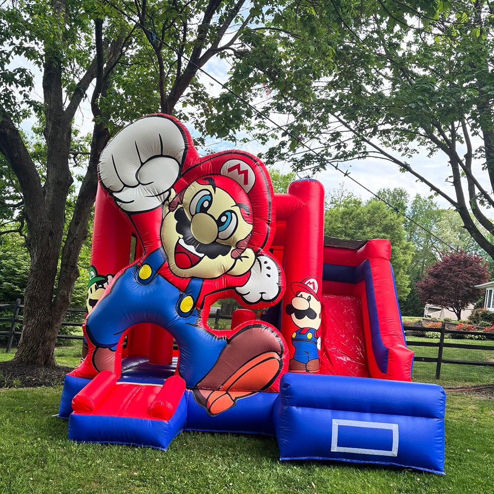 Custom Inflatable Bouncer Kids - Kids Outdoor Jumping Castle บทวิจารณ์และราคา